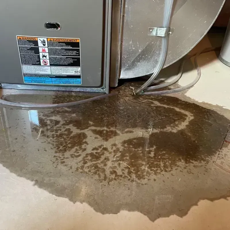 Appliance Leak Cleanup in Sunset Hills, MO